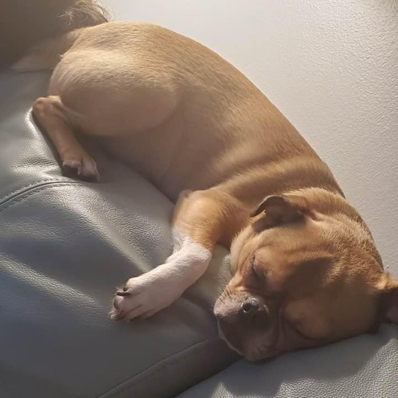 Me - Picture 14 of 17